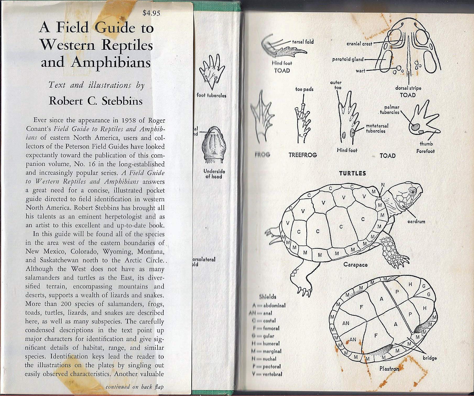 A Field Guide to Western Reptiles and Amphibians; Field Marks of All Species in Western North America